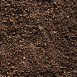 Biokasvuvoima Nurmikkomulta